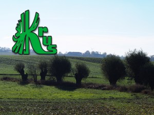 obrazek plik 875