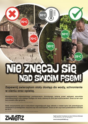 obrazek plik 2654